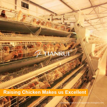 A Type Galvanized Automatic Chicken Layer Cage for Sale